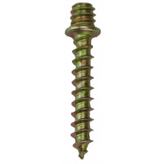 NEDZ0423-NEDZ0423_COVER