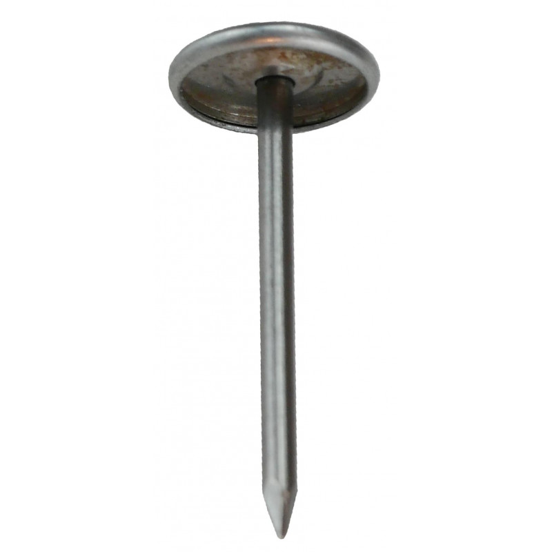 NEDZ0409-NEDZ0409_COVER