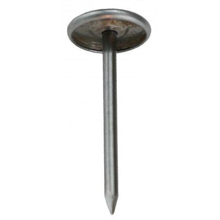 NEDZ0409-NEDZ0409_COVER