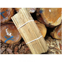 TUDB5050-cache_43691894